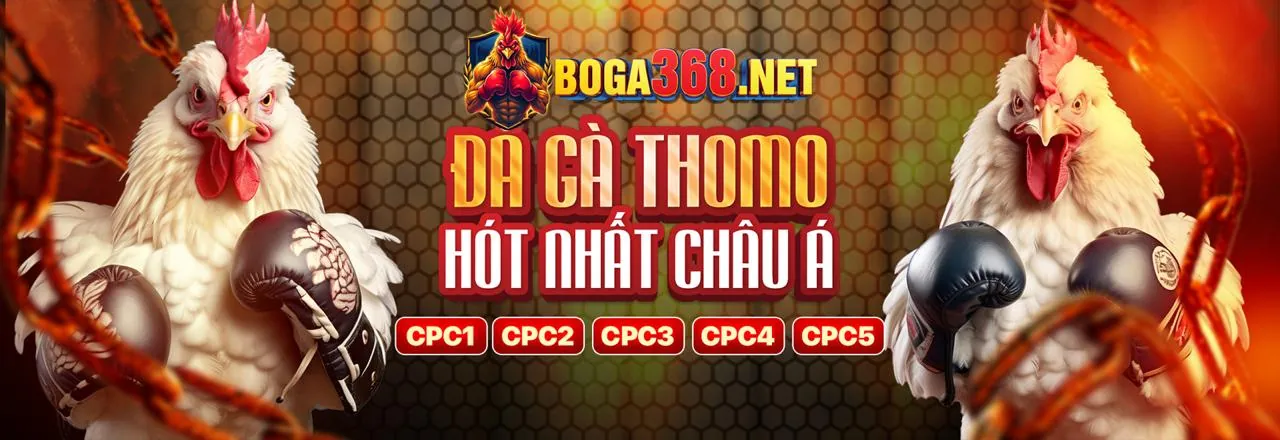 Bảo Mật và Công Bằng tại Yes8 Casino